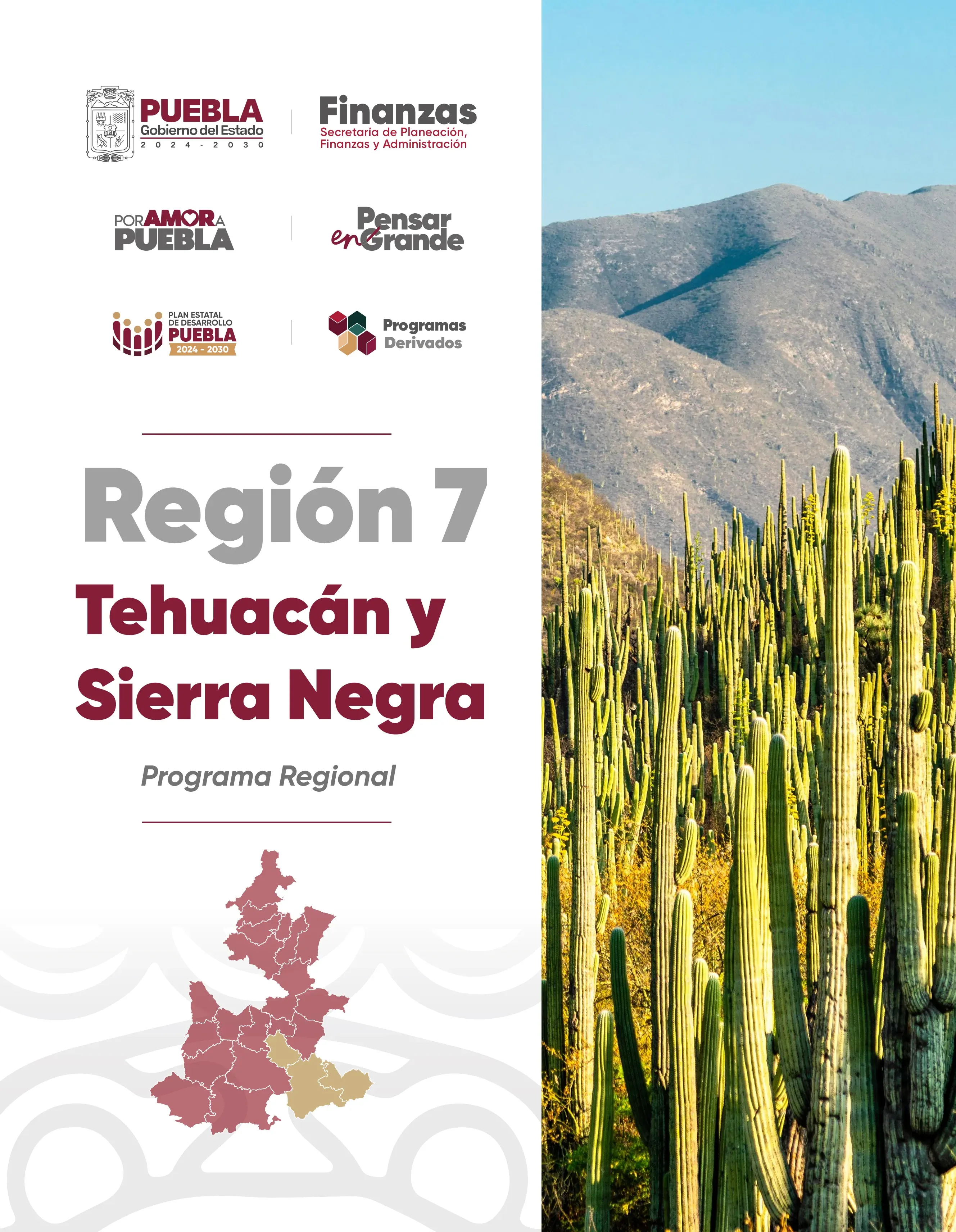 Programa Regional Región 7 Tehuacán y  Sierra Negra