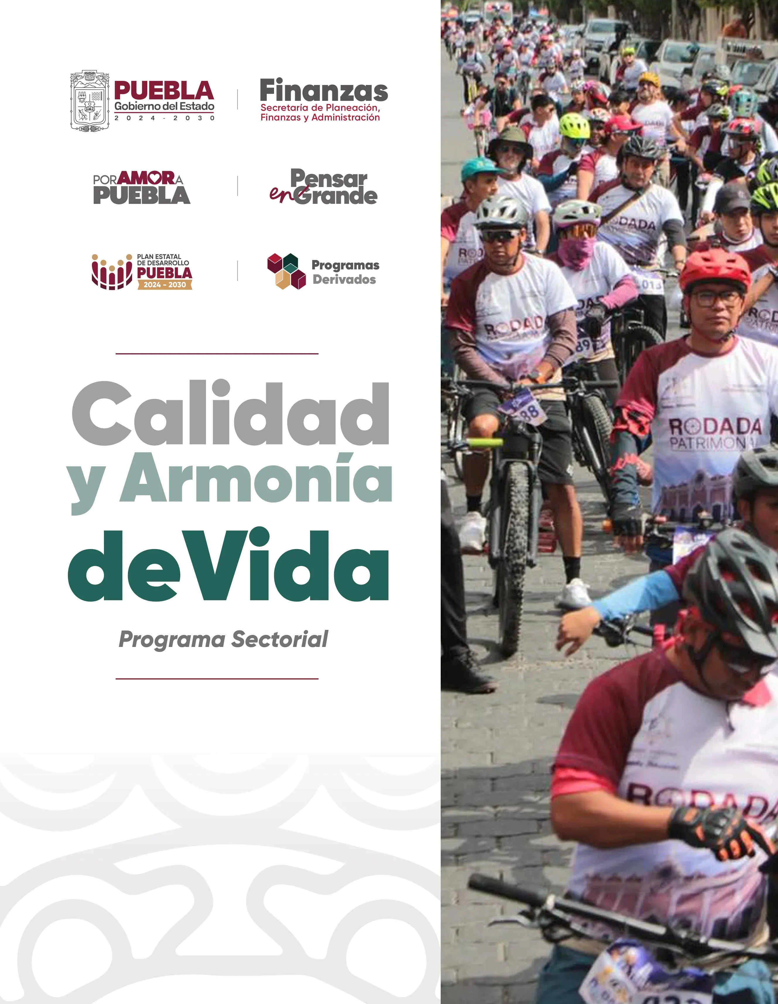 Programa Sectorial Calidad y Armonia de Vida