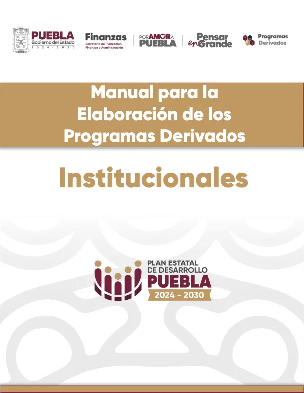 Metodologia Programas Institucionales