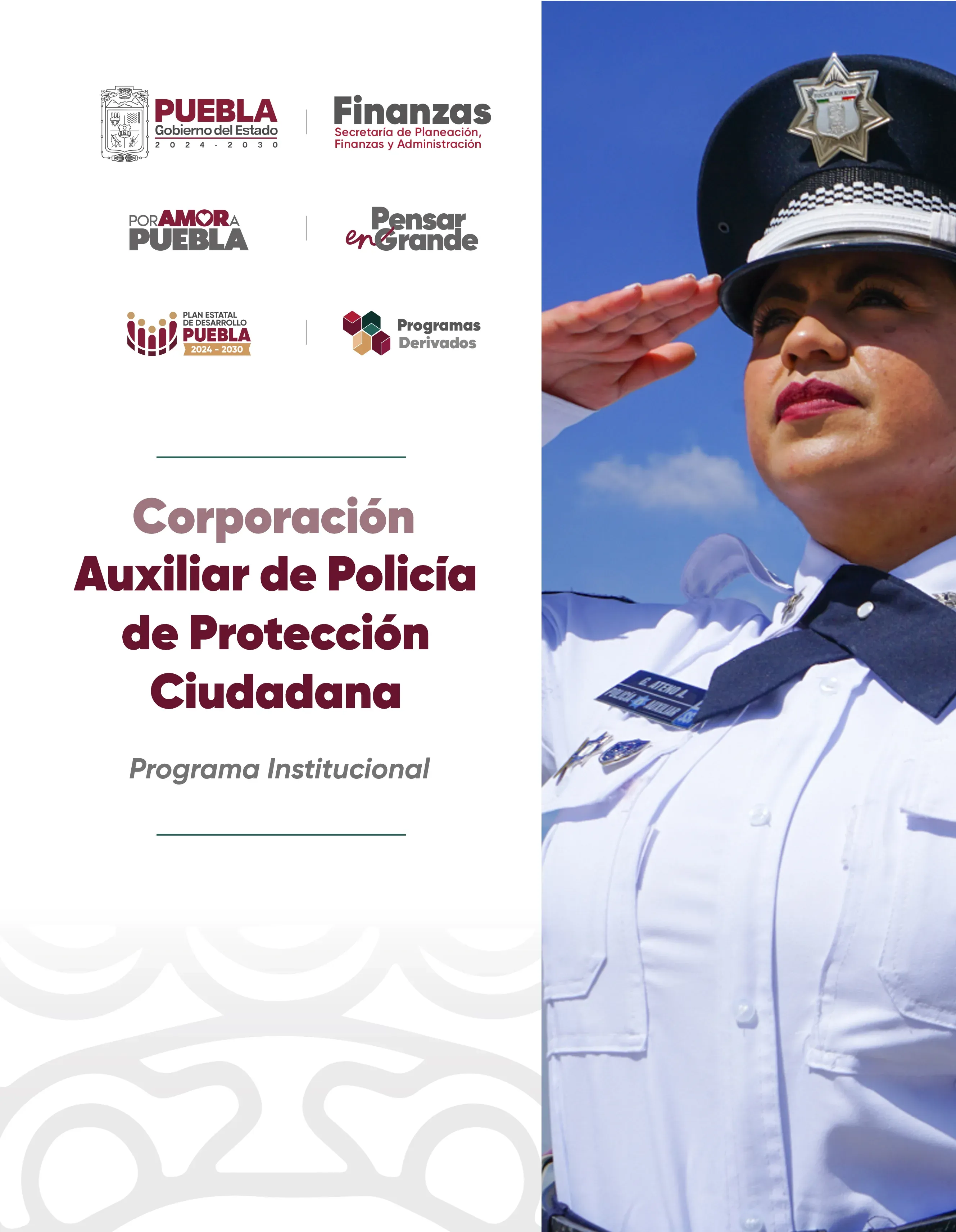 Programa Institucional Corporación Auxiliar de Policia de Protección Ciudadana