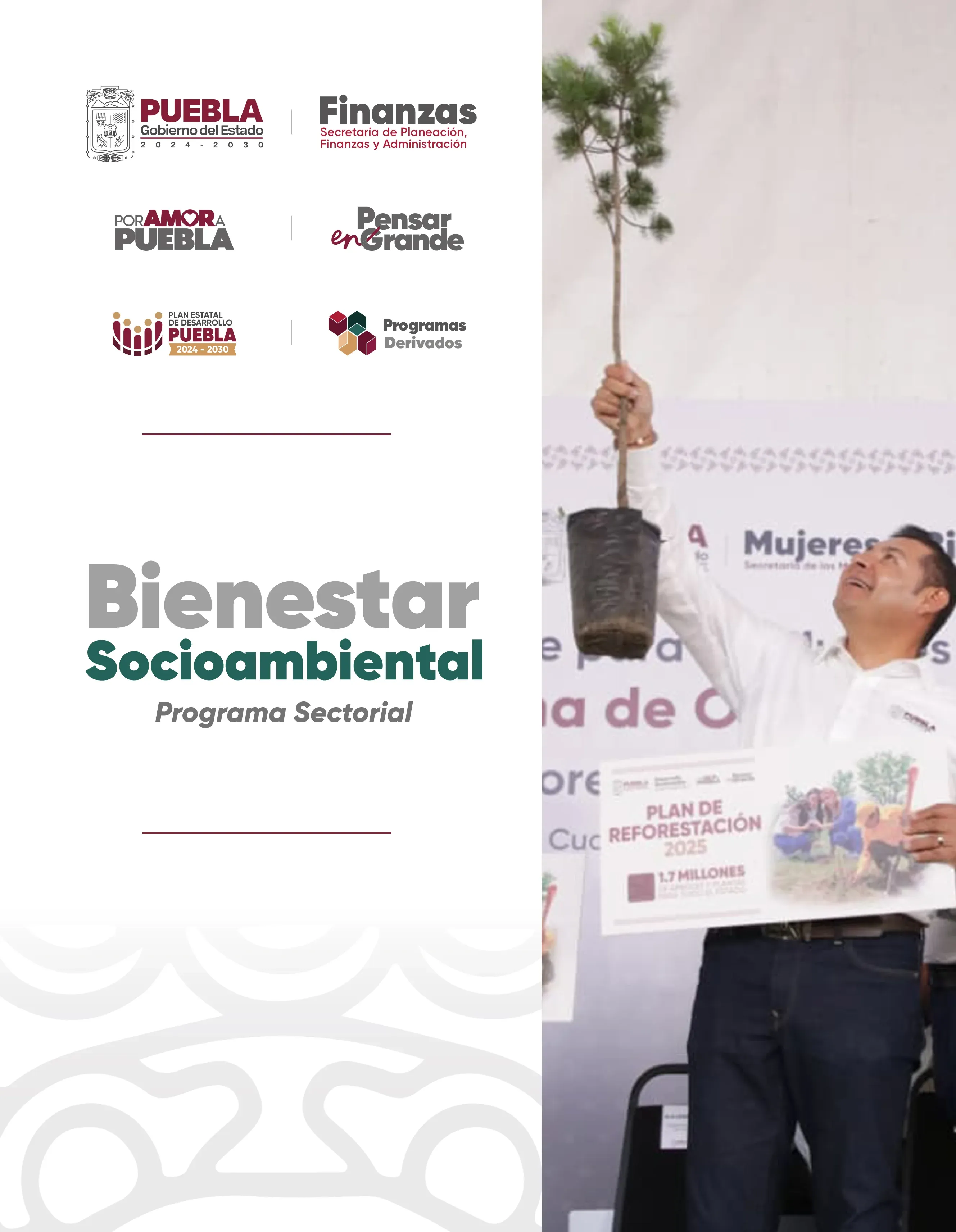 Programa Sectorial Bienestar Socioambiental