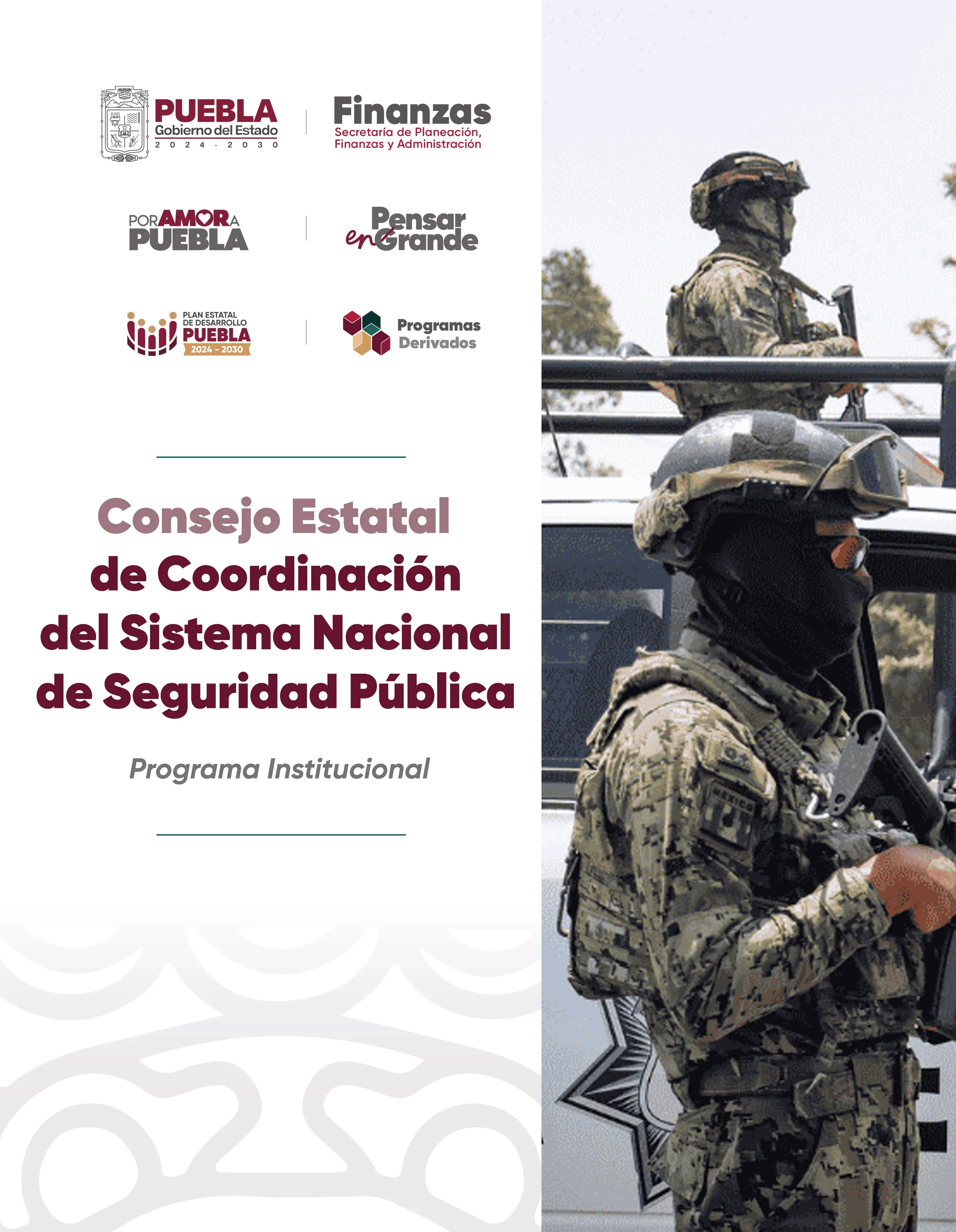 Programa Institucional Consejo Estatal de Coordinacion del Sistema Nacional de Seguridad Pública