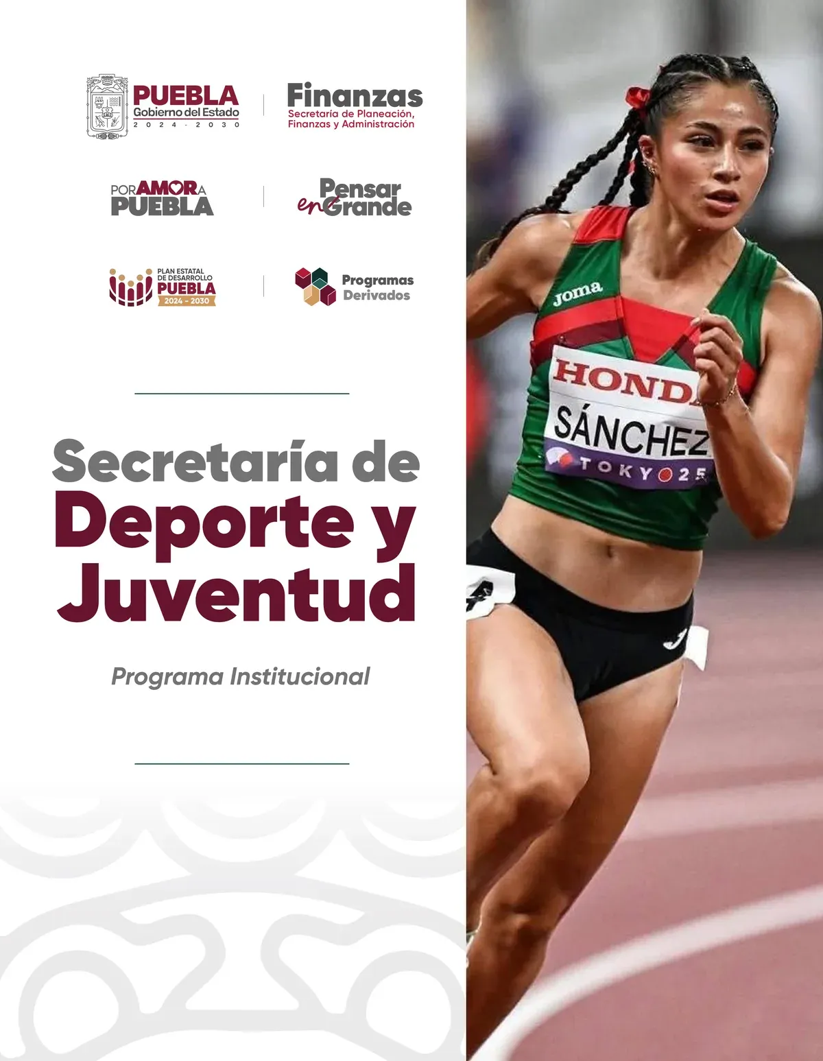 Programa Institucional Secretaria_de_Deporte_y_Juventud