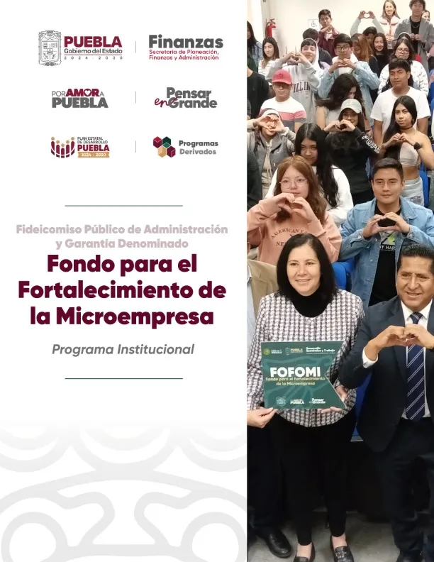 Programa Institucional FIDEICOMISO PÚBLICO FONDO PARA EL FORTALECIMIENTO DE LA MICROEMPRESA