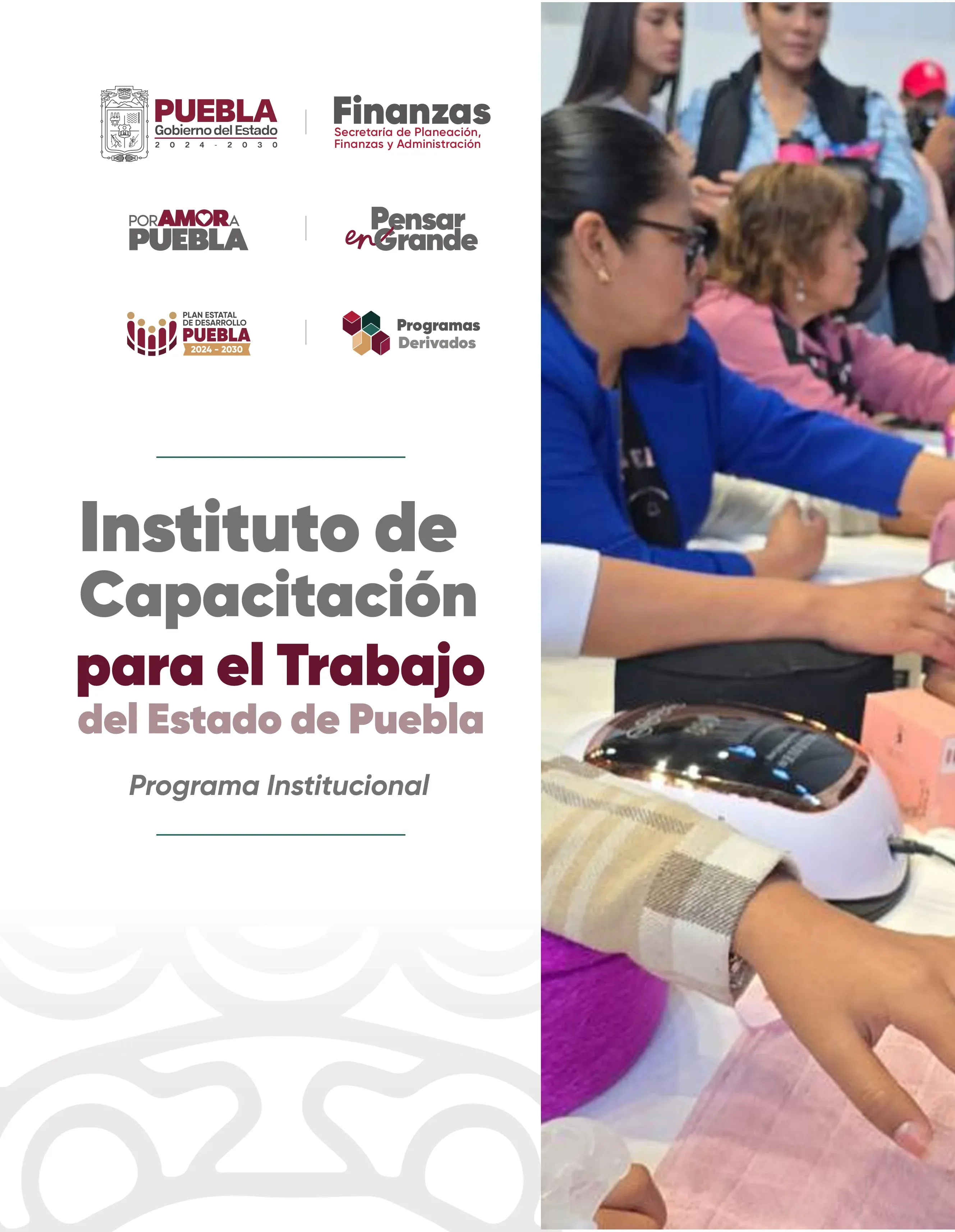 Programa Institucional ICATEP