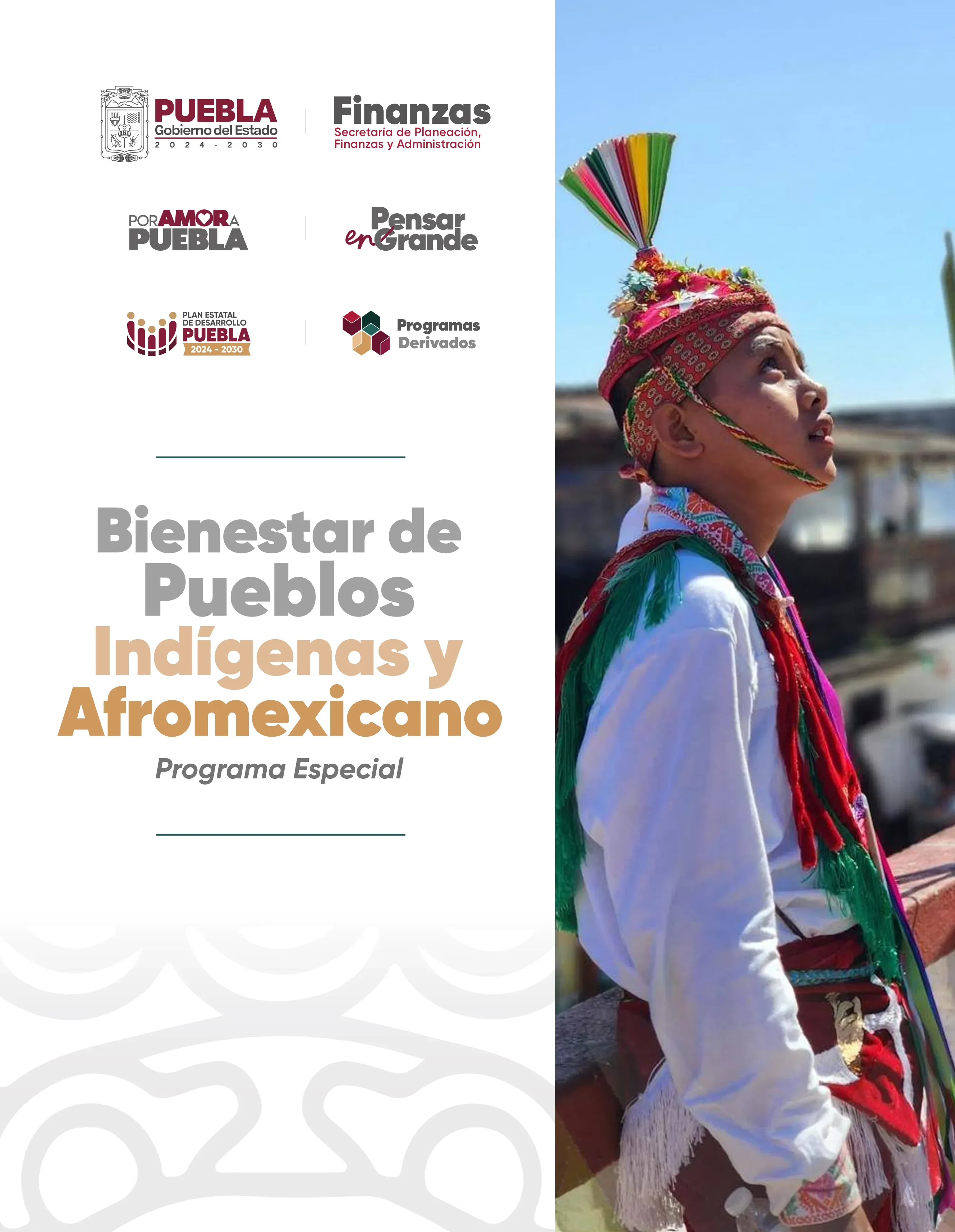 Programa Especial Bienestar de Pueblos Indígenas y Afromexicano