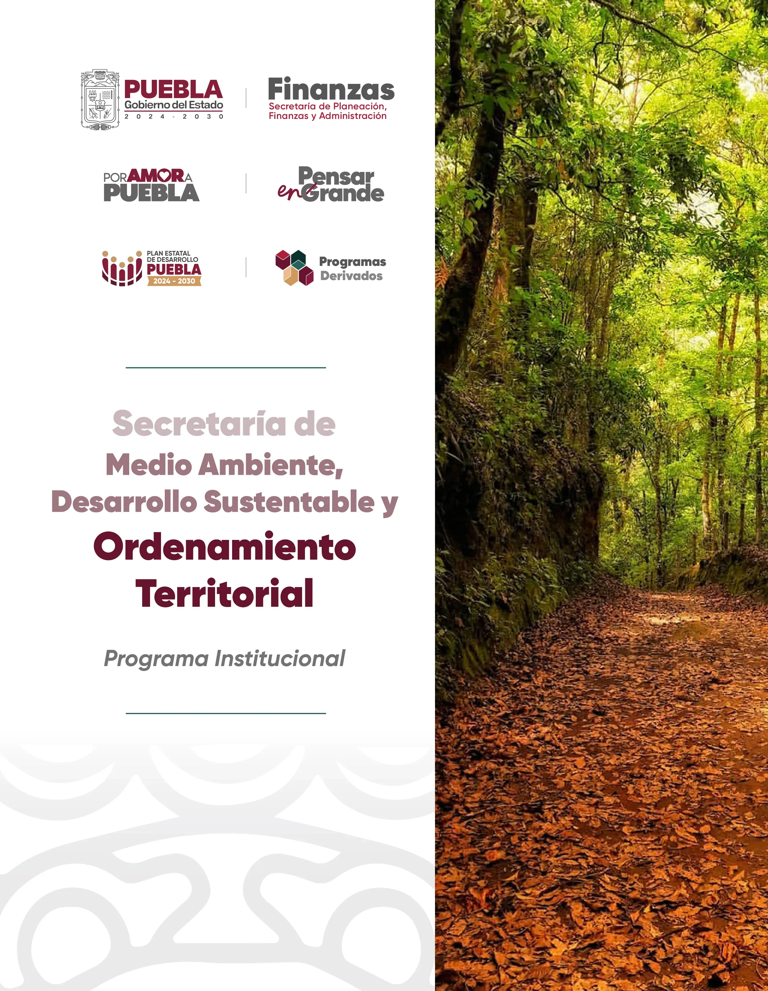 Programa Institucional Secretaria_de_Medio_Ambiente,_Desarrollo_Sustentable_y_Ordenamiento_Territorial