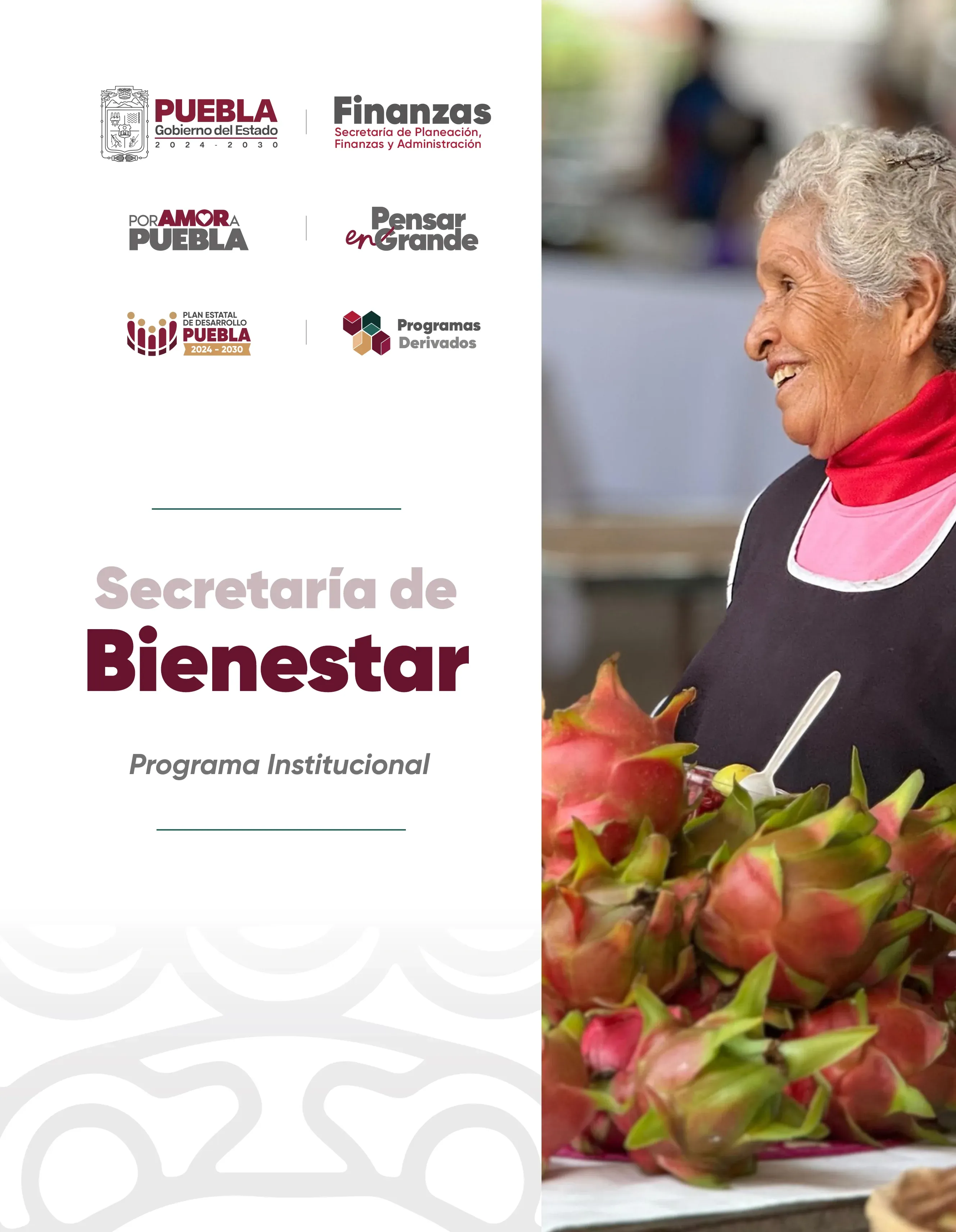 Programa Institucional Secretaria_de_Bienestar