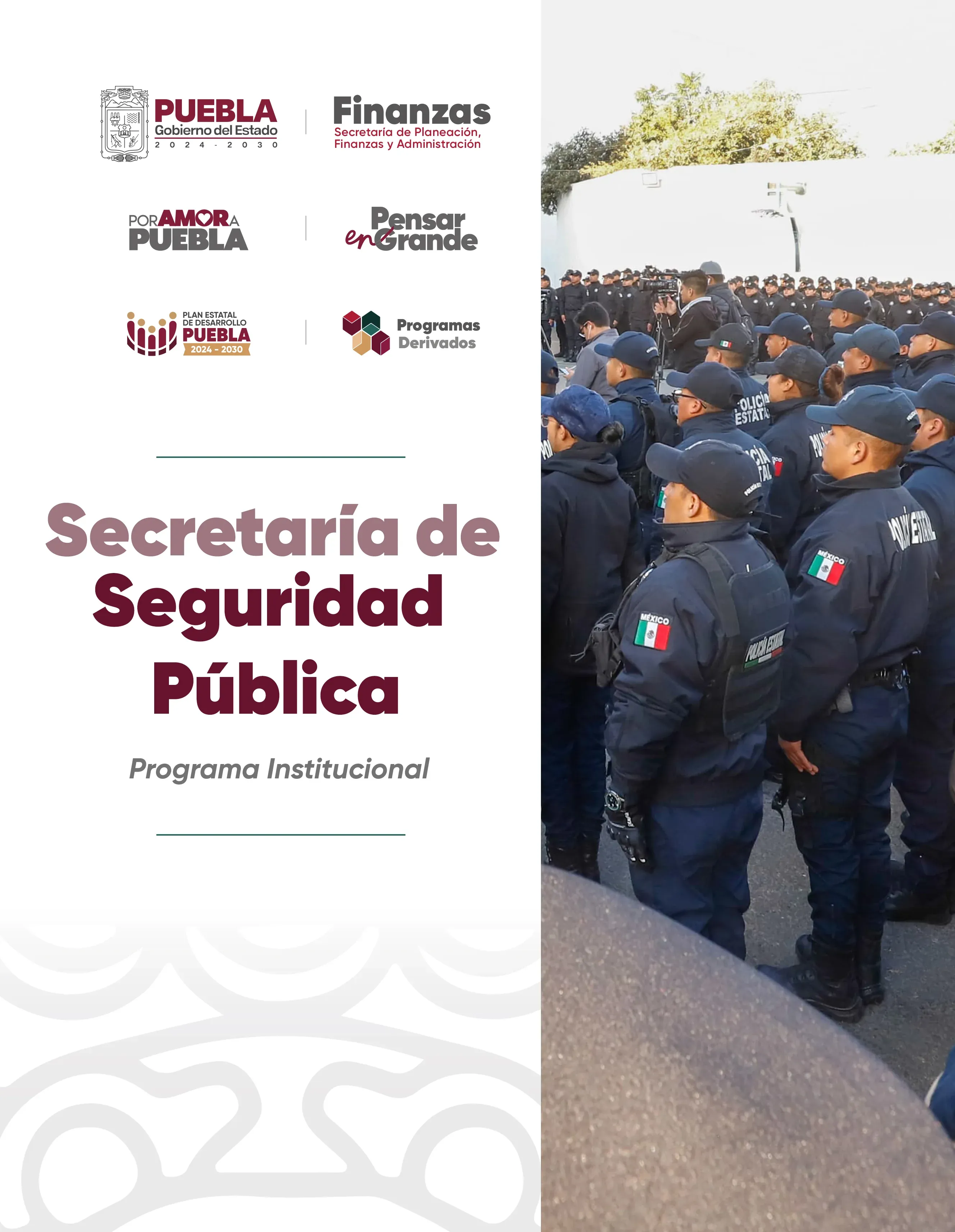 Programa Institucional Secretaria_de_Seguridad_Publica