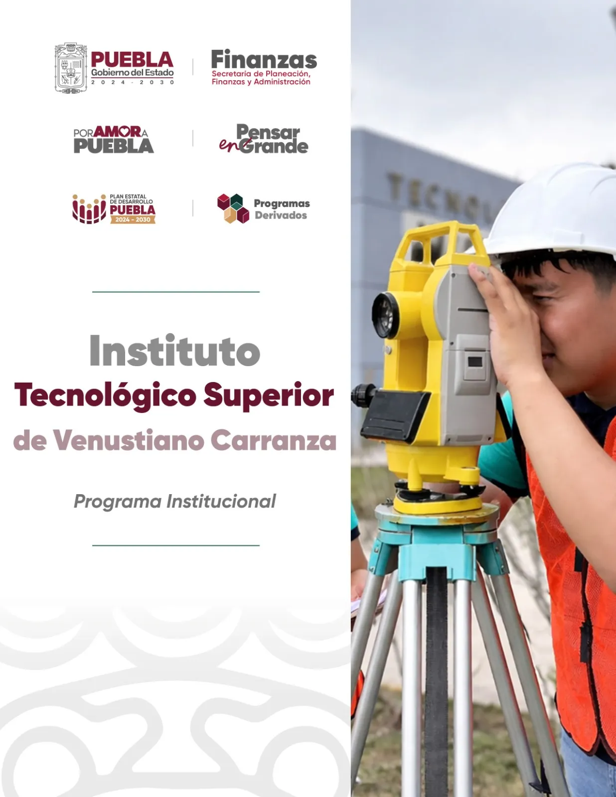 Programa Institucional INSTITUTO TECNOLÓGICO SUPERIOR DE VENUSTIANO CARRANZA