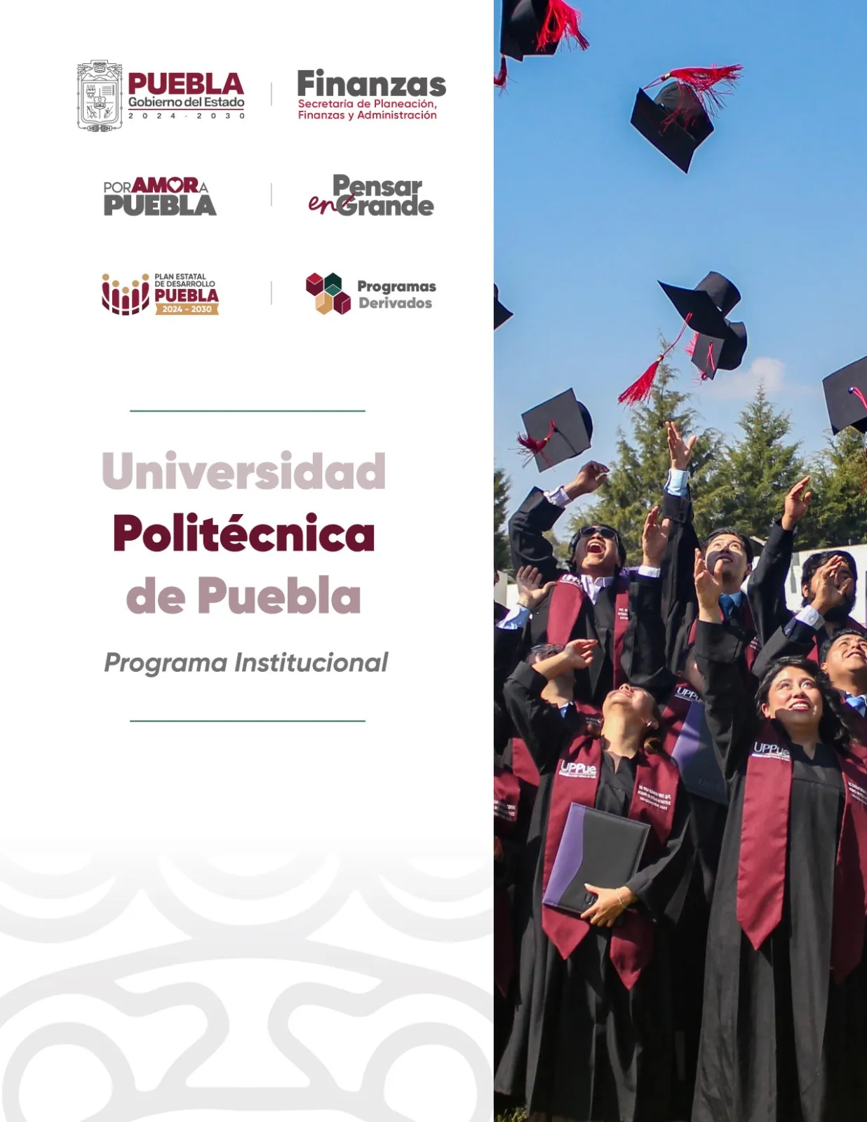 Programa Institucional UNIVERSIDAD POLITÉCNICA DE PUEBLA