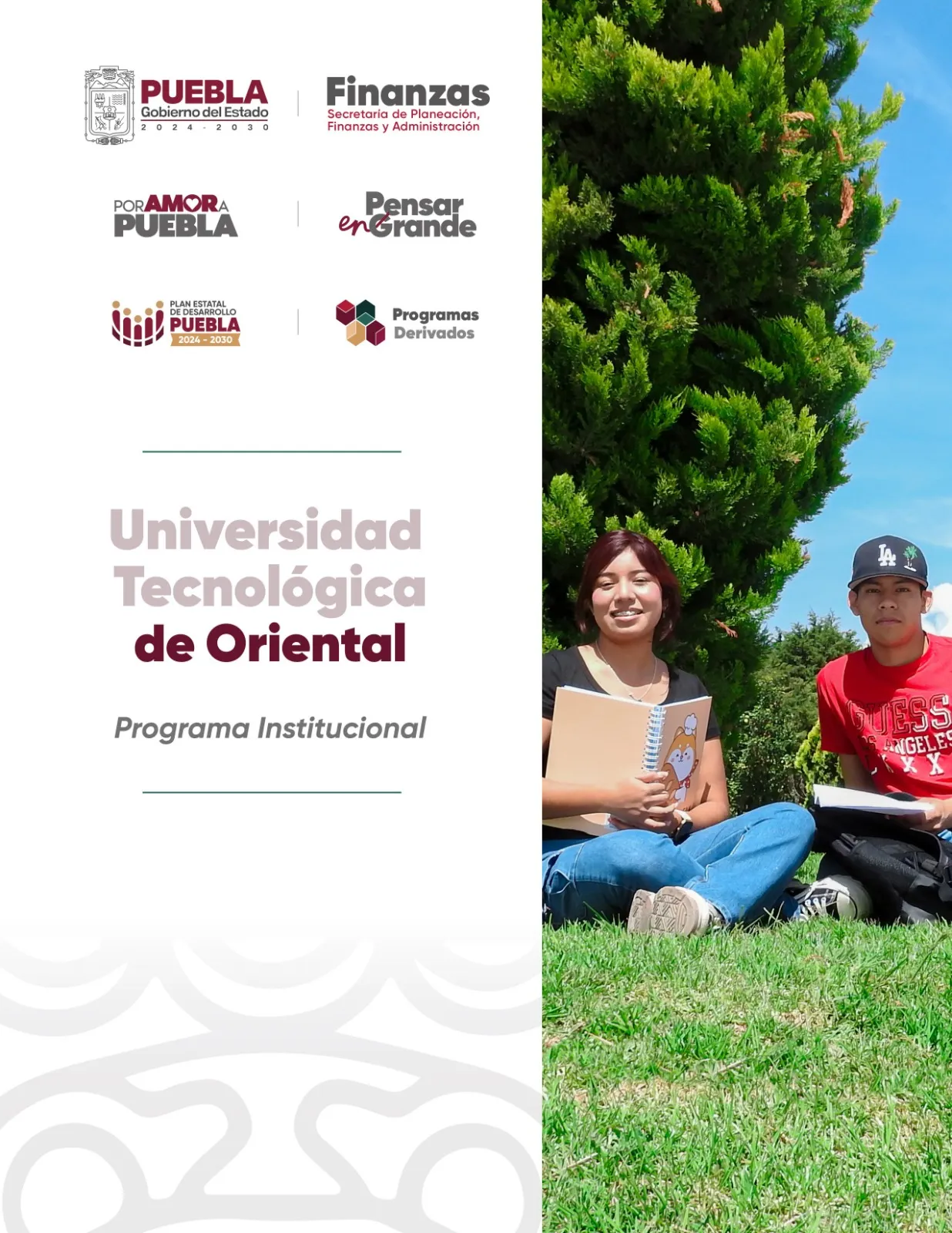 Programa Institucional UNIVERSIDAD TECNOLÓGICA DE ORIENTAL